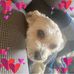 Kathy Skeen Eichner - Facebook