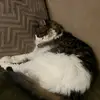 katieeileen - @katieeileen - TikTok