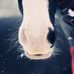 Katie Everitt Photography - Facebook