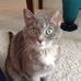 Katie Evers - Facebook