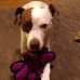 Kathy Farber - Facebook