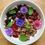 Katie Schwartz - @katiefeedsyou - Instagram