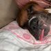Katie Franks - Facebook