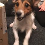 Katie Franks - @katie.franks.3152 - Instagram