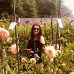 Katie Gilman - @katgilman11 - Instagram