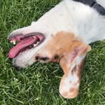 Katie Gladden - @gladden6397 - Instagram