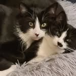 Katie Gott - @ktg.27 - Instagram