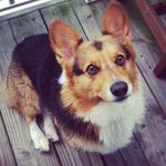 katiegott - @katiegott - Instagram