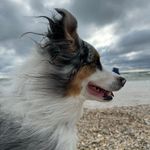 Lance Katie Gresham - @lkgresham - Instagram