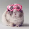 katiegrover07 - @katiegrover07 - TikTok