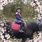 Katie Hackett - @katie.hackett.505 - Instagram