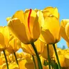 katiehagerman963 - @katiehagerman963 - TikTok