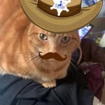 Katie Hallam - @potato_tornado20 - Instagram