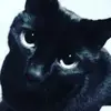 KatieHaller - @katiehaller - TikTok