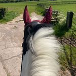 Katie Halliday - @katieh8465 - Instagram