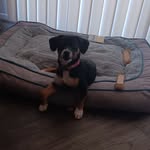 Katie Hallman - @hallman8721 - Instagram