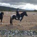 Katie Halpin - @katiehalpin_20 - Instagram