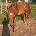 Katie Hamaker - Facebook