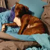 Katie Hamaker-Breland - @nursemomma0810 - TikTok