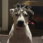 Katie Hambrick Smith - @katie.smith_1414 - Instagram