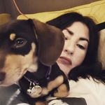 katie hamer - @hamerkatie - Instagram