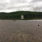 Katie & Harley - @sacandaga.photography - Instagram