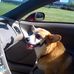 Katie Hartmann - Facebook