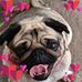 Katie Haslam - Facebook