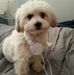 Katie Hatton - Facebook