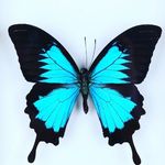katie - @katiehaven67 - Instagram