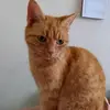 Katie Helton - @katie.helton - TikTok