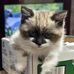 Katie Hensel - Facebook