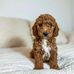 Katie Hensley - Facebook