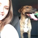 Katie Hensley - @katiehensley82 - Instagram