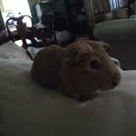 Katelyn Eliza Hetrick - @katiehetrick1 - Instagram