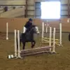 Hästahoppare_katie - @hästahoppare_katie - TikTok