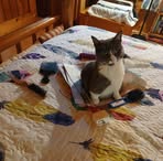 Katie Hopp - Facebook