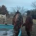 Katie Hostetler - Facebook