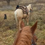 Katie Hostetler - @katiehostetler39 - Instagram