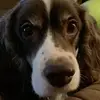 Katie Hartman-Hubert - @katiehartmanhubert - TikTok