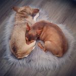 Katie Hulse Lawlor - @livelovelawlor - Instagram