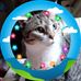 Katie Iverson - Facebook