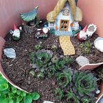 Katie Iverson - @oniesmom04 - Instagram