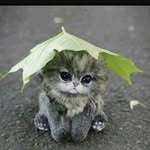 Katie Jahnke Blodgett - @kblodgett31 - Instagram
