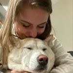 Katie June Cavaca - @kjspetcare - Instagram