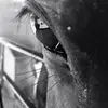 Katie Kerley - @_.izzy_kek._ - TikTok