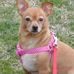Katie Lee Kerley - Facebook