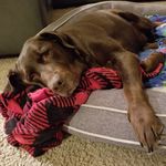 Katie Keyes - @billy_andfriends - Instagram