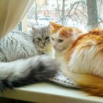 Katie_and_Knop - @katie_and_knop - Instagram