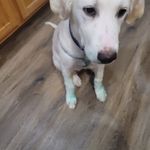 Katie Knop - @katie.knop - Instagram